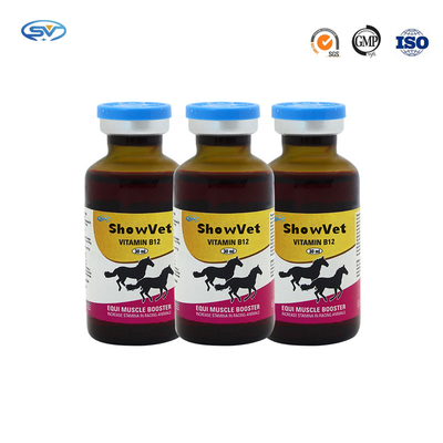 B12 κτηνιατρικό εκχύσιμο συμπλήρωμα εγχύσεων βιταμινών B12 φαρμάκων εγχύσεων για το ζώο