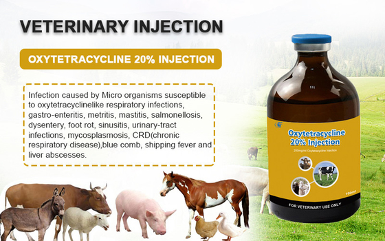Κτηνιατρική εκχύσιμη Oxytetracycline φαρμάκων έγχυση HCL 20% για τα ζωικά φάρμακα σκυλιών αιγών προβάτων βοοειδών