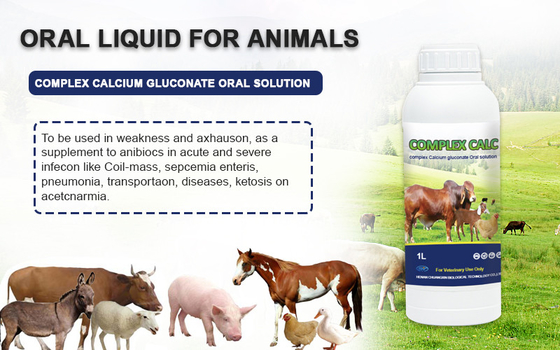 Προφορική Gluconate ασβεστίου ιατρικής λύσης σύνθετη προφορική λύση για τα άλογα προβάτων βοοειδών