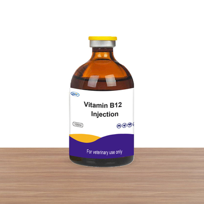Κτηνιατρική εκχύσιμη βιταμίνη συμπληρωμάτων εγχύσεων βιταμινών B12 Inj Vit B12 προβάτων φαρμάκων για τα άλογα βοοειδών